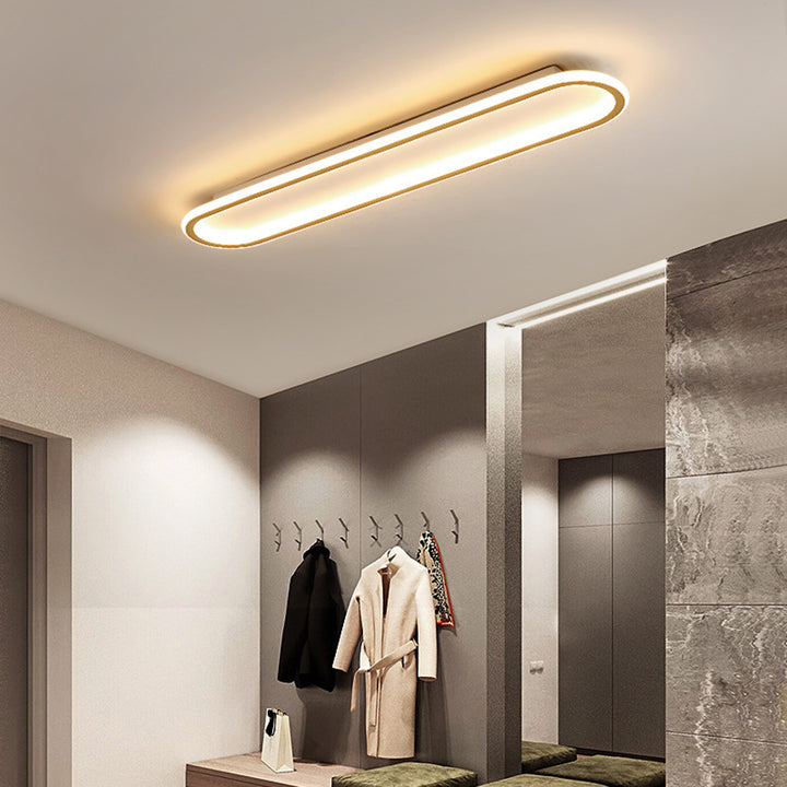 Sleek Oval Ceiling Light