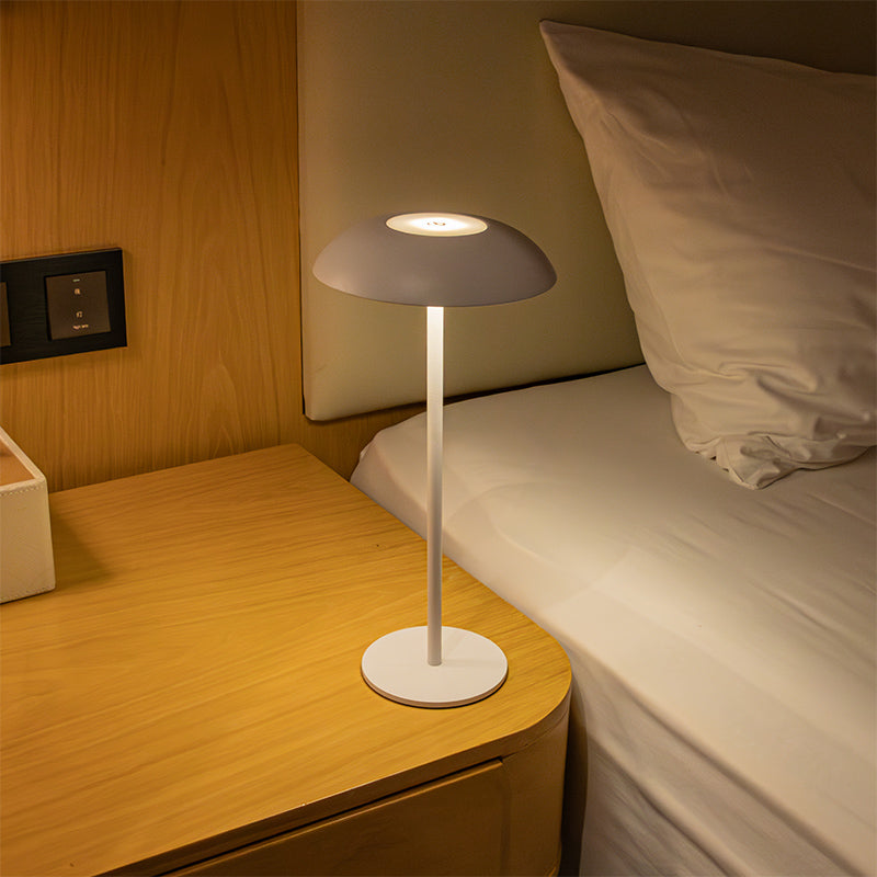 Eisen-Eleganz-Lampe
