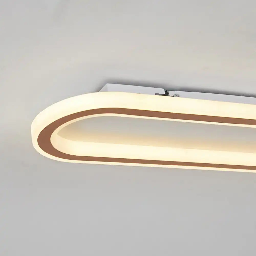 Sleek Oval Ceiling Light