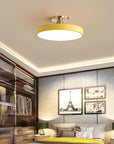 Sleek Halo Ceiling Light