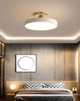 Sleek Halo Ceiling Light