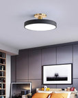 Sleek Halo Ceiling Light