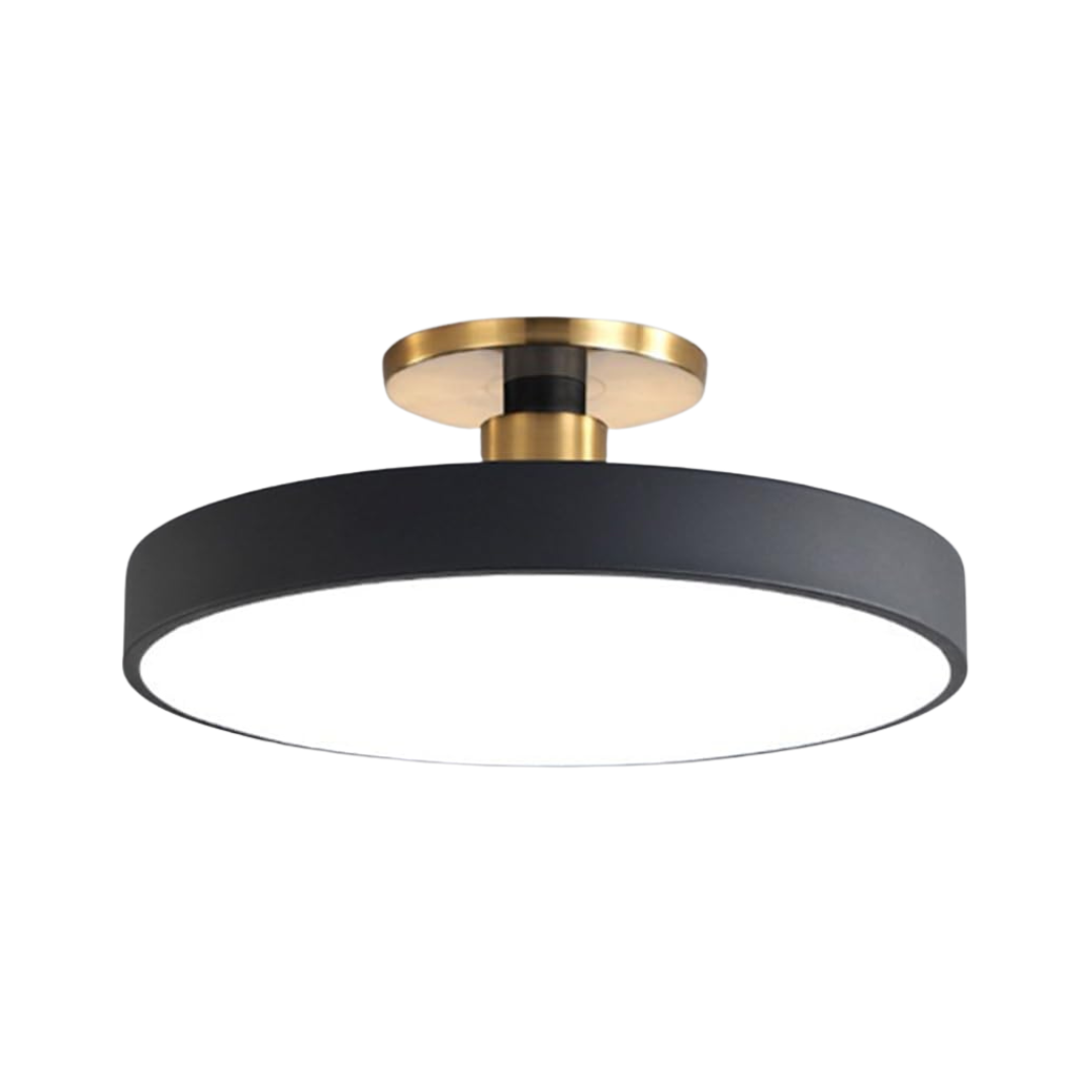 Sleek Halo Ceiling Light