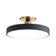 Sleek Halo Ceiling Light