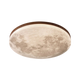 Moonlit Harmony Ceiling Light