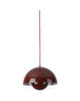 Glossy Curve Pendant Light