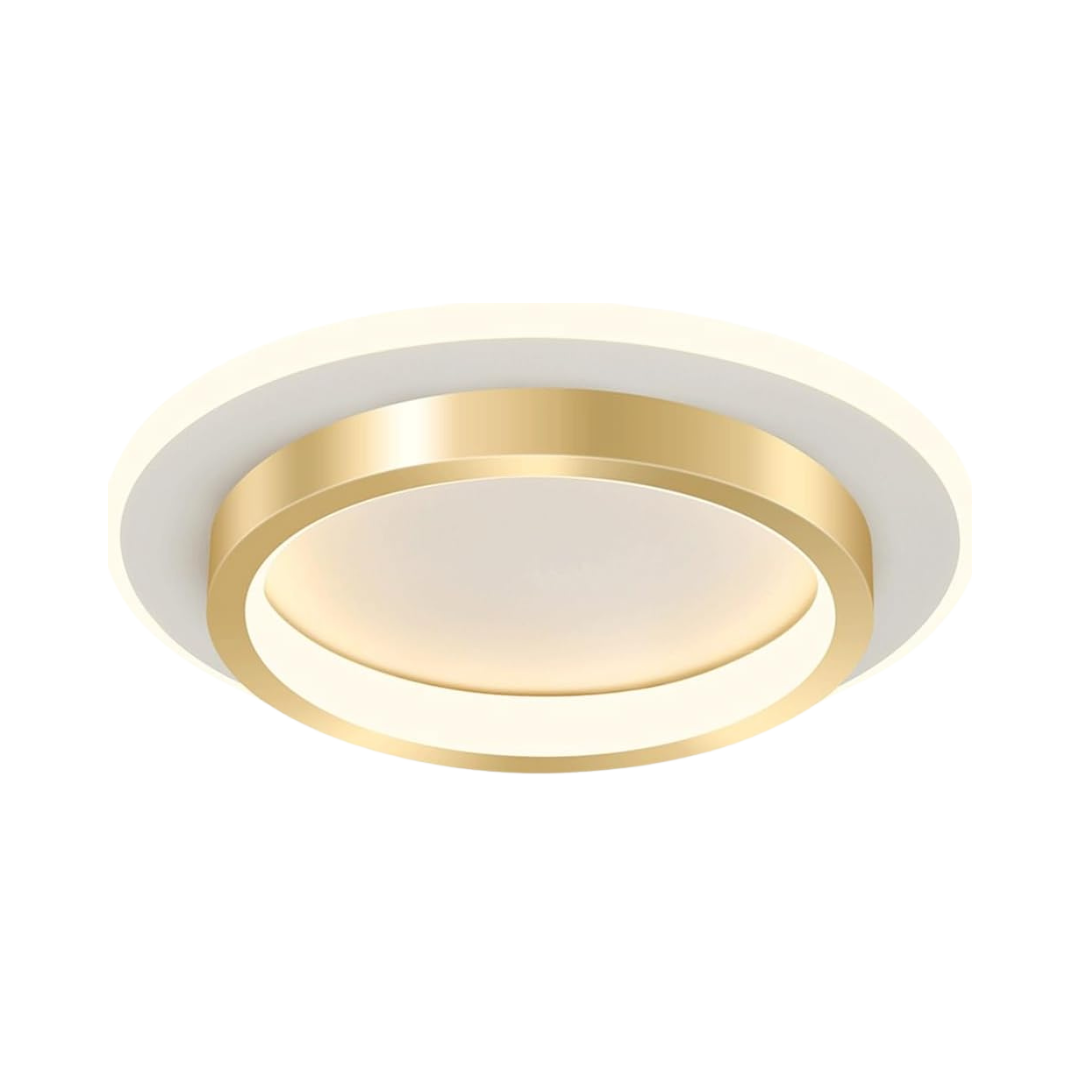 Sleek Circular Ceiling Light
