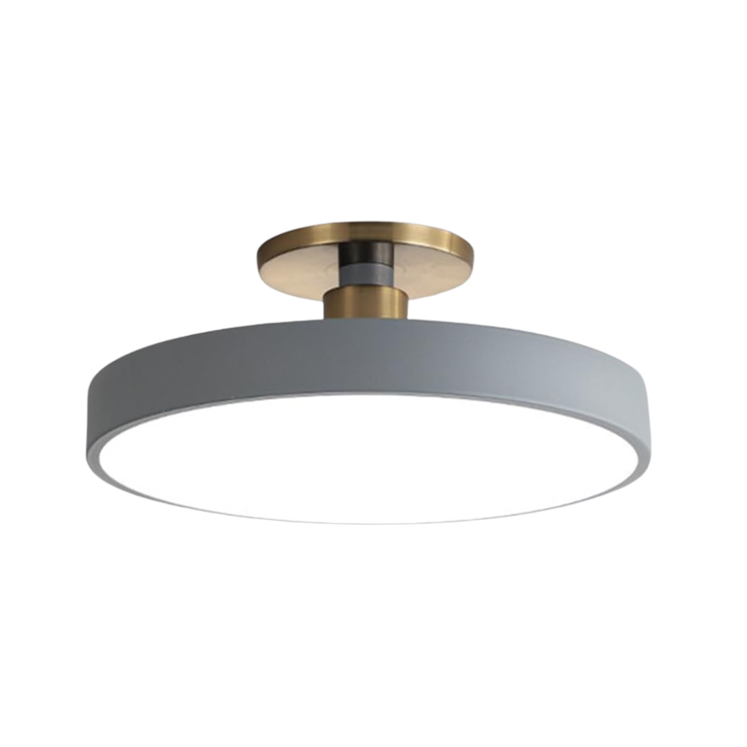 Sleek Halo Ceiling Light