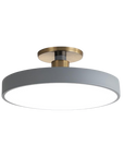 Sleek Halo Ceiling Light