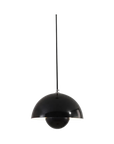 Glossy Curve Pendant Light