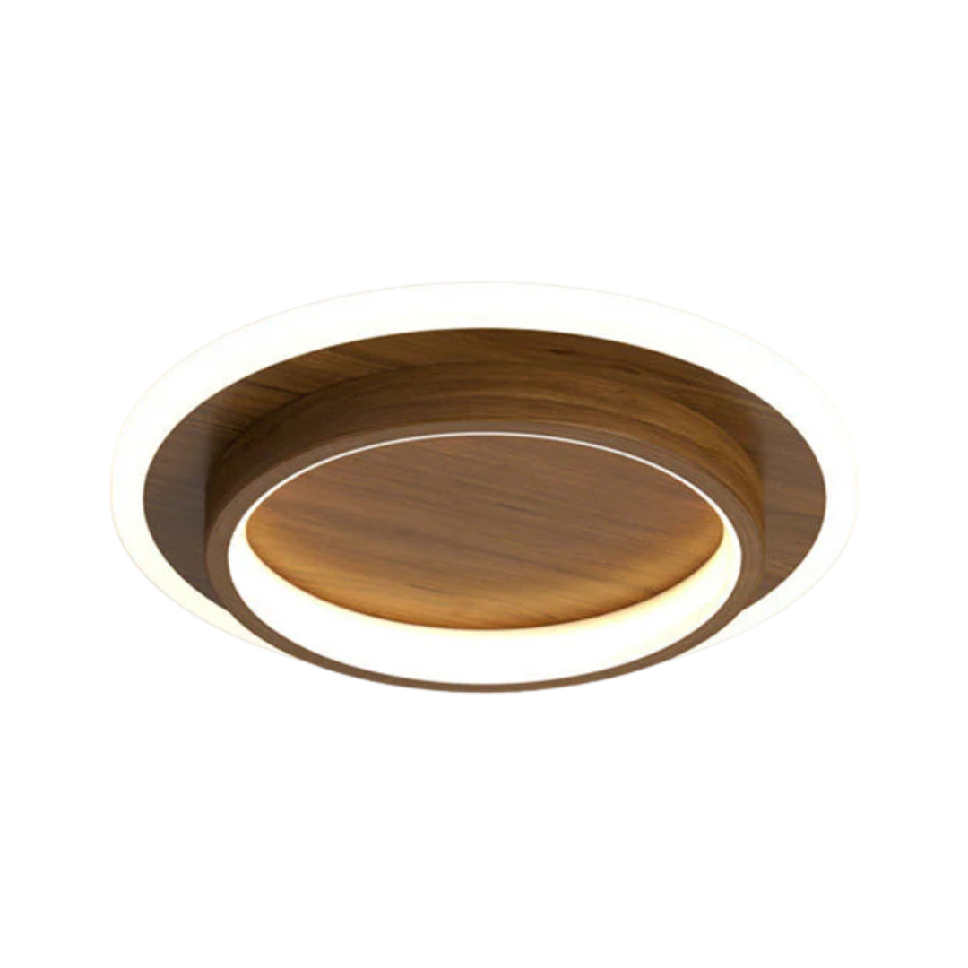 Sleek Circular Ceiling Light