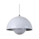 Glossy Curve Pendant Light