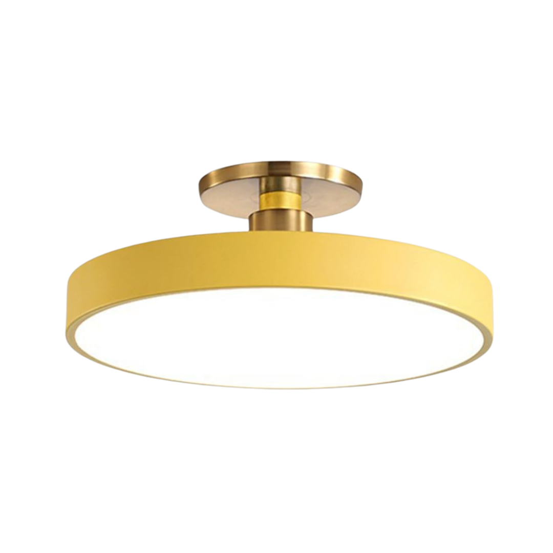 Sleek Halo Ceiling Light