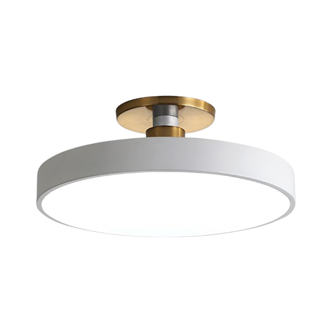 Sleek Halo Ceiling Light