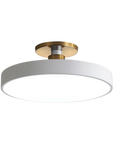 Sleek Halo Ceiling Light