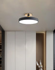 Sleek Halo Ceiling Light