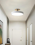 Sleek Halo Ceiling Light