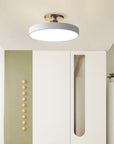 Sleek Halo Ceiling Light