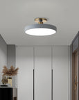 Sleek Halo Ceiling Light