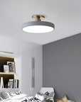Sleek Halo Ceiling Light