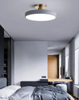 Sleek Halo Ceiling Light