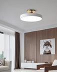 Sleek Halo Ceiling Light