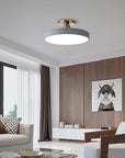 Sleek Halo Ceiling Light