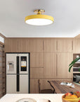 Sleek Halo Ceiling Light
