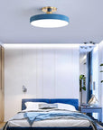 Sleek Halo Ceiling Light