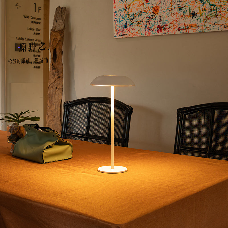 Eisen-Eleganz-Lampe
