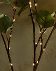 Olive Branch LED Light