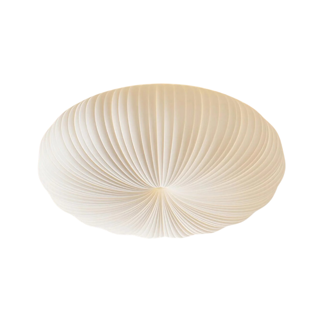 Ceiling Lamps