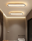 Elegantes ovales Deckenlicht