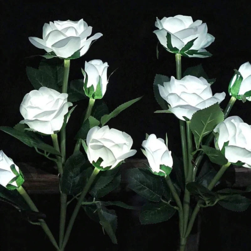 Lampes solaires à fleurs Everbloom™