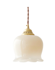 Vintage Blumenanhänger Licht