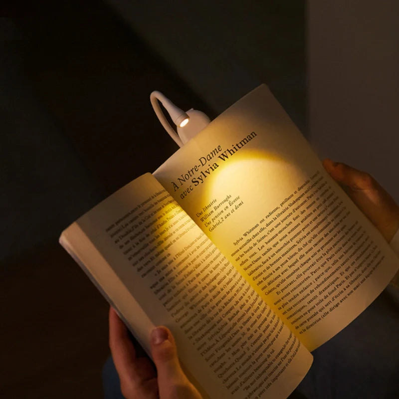 Buchleselicht