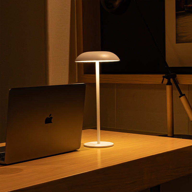 Eisen-Eleganz-Lampe