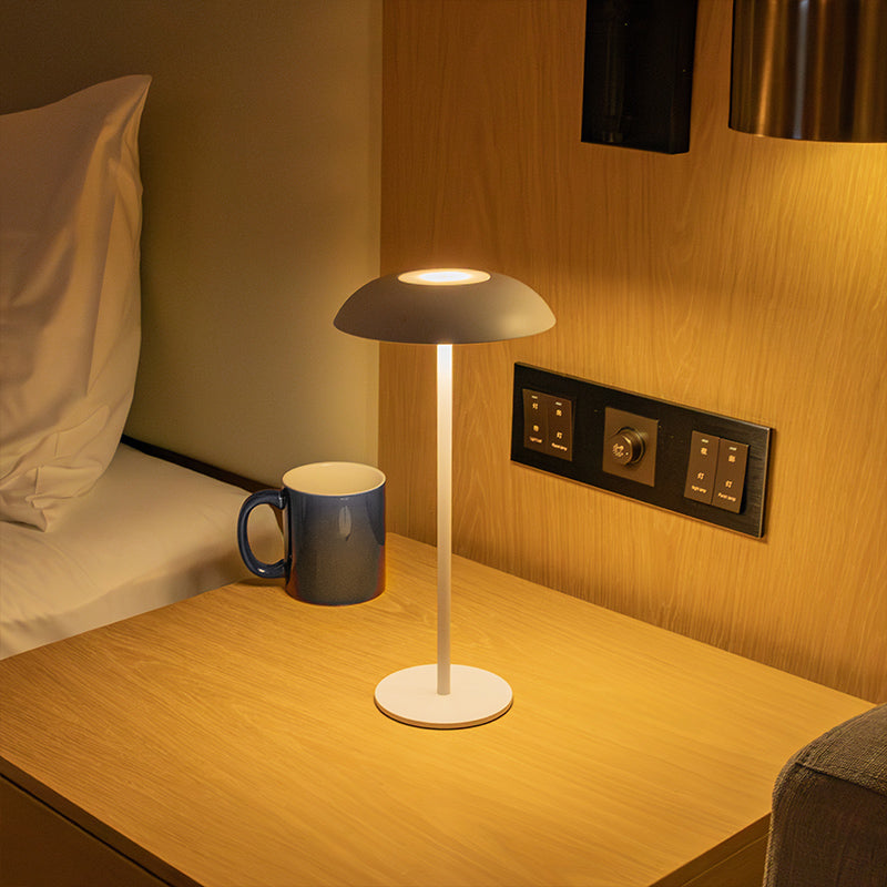 Eisen-Eleganz-Lampe