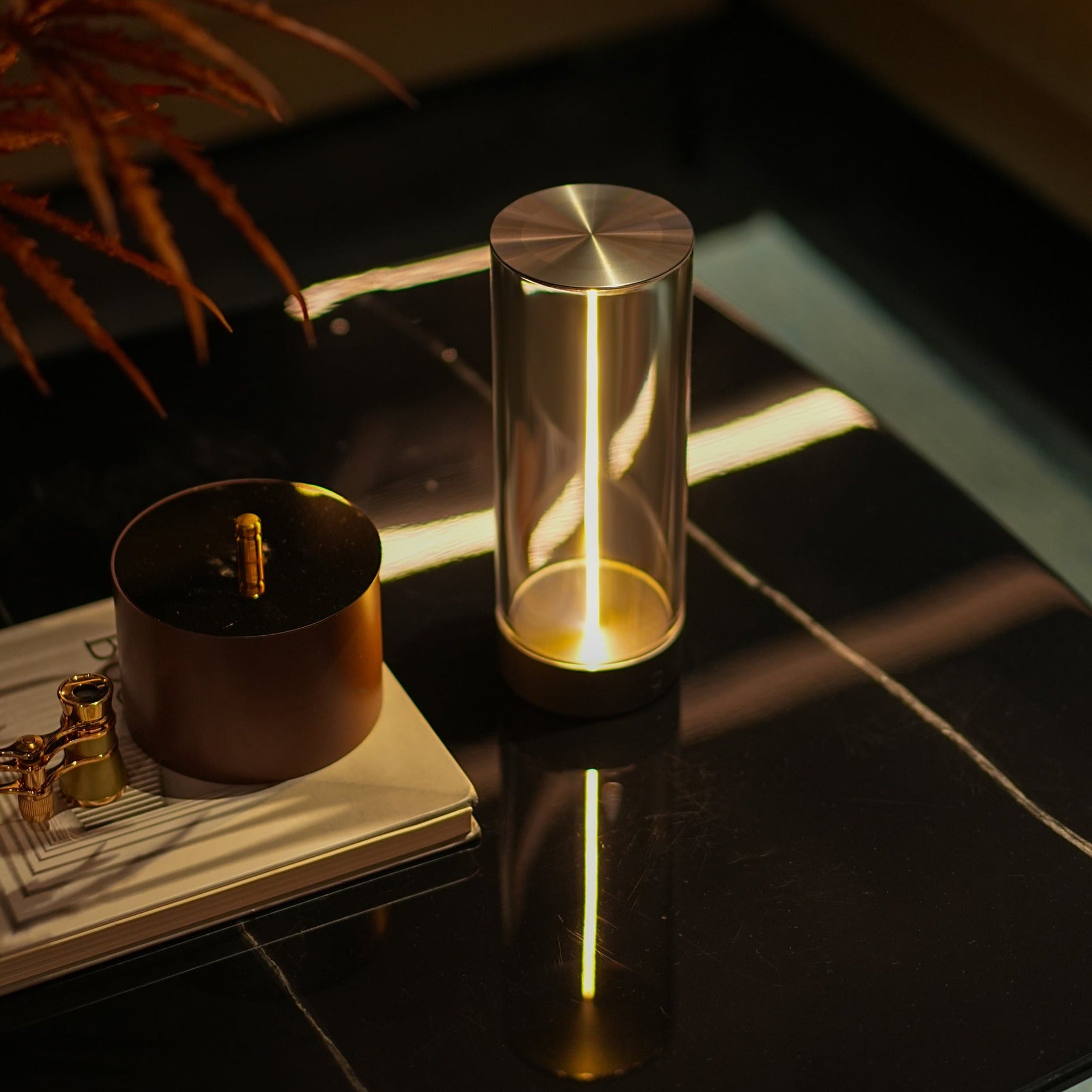 LightRay™-Illuminator