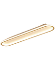 Elegantes ovales Deckenlicht
