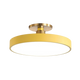Eleganter Halo -Deckenleuchte