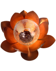 Solar Lotus Accent Light