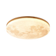 Mondharmonie Deckenlicht