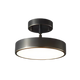 Céleste Luminaire