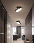 Céleste Luminaire