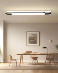Beam Arc Ceiling Lamp