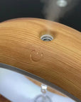 GravityDefy schwebende Wasserlampe