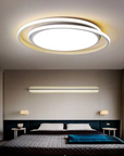 Luminous Orbit Ceiling Lamp