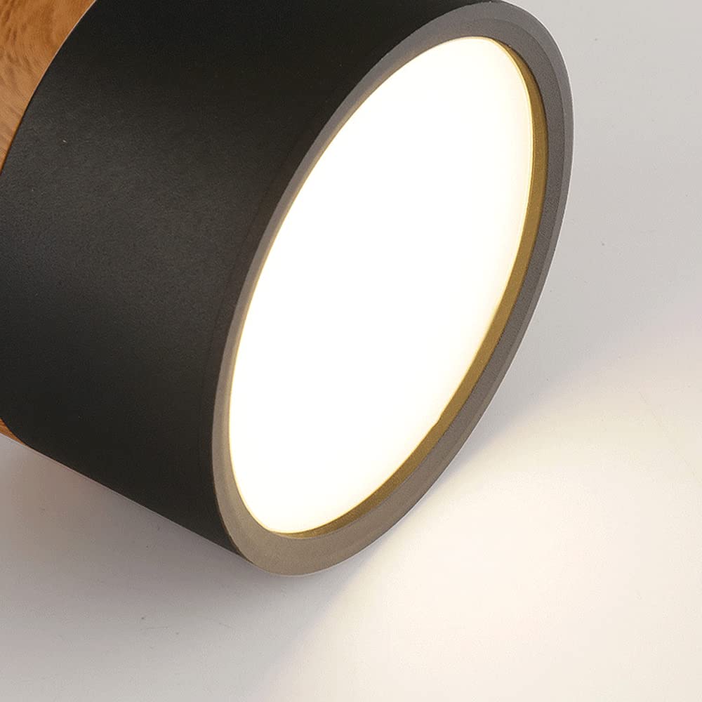 Aesthetic Wood Ceiling Lamp