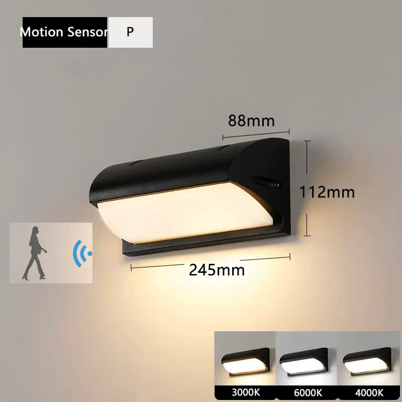 Sophisticated Outdoor Wall Light